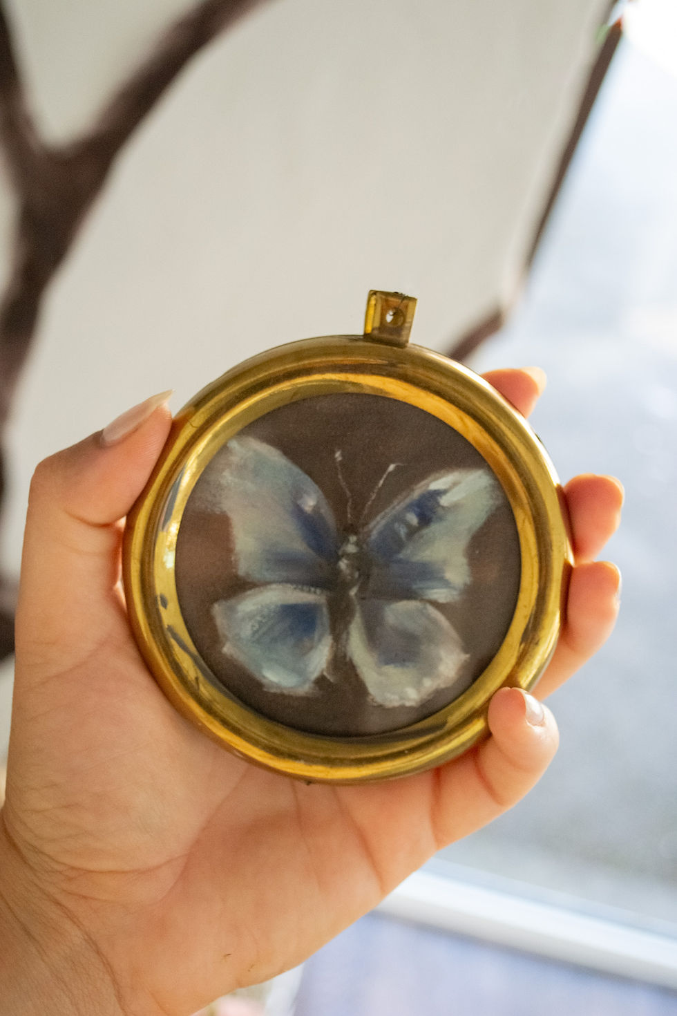 Miniaturbild: Schmetterlinge
