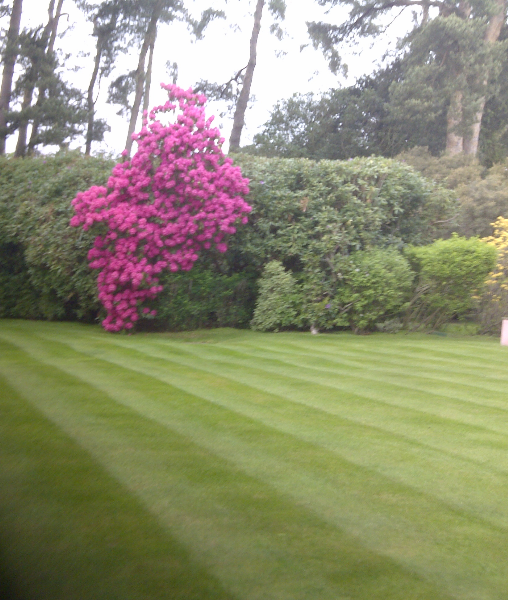 Weybridge