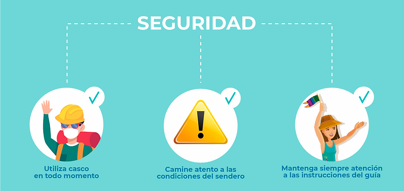 Infografia Covid Anzota D.png