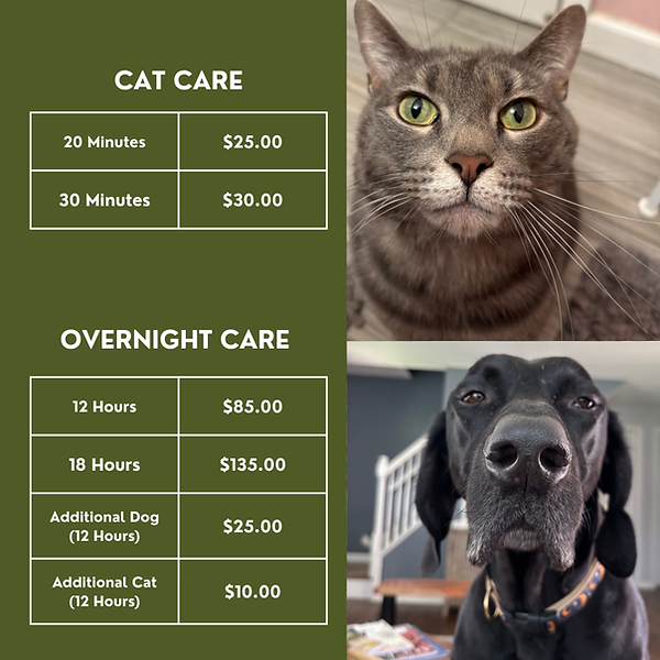 Services and Rates 2
