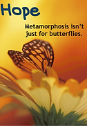 butterfly on a flower with text that says "hope, metamorphosis isn't just for butterflies"
