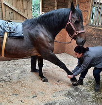 WhatsApp Image 2023-07-30 at 22.30.21.jpg