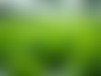Hydroponic Farming: Sustainable Practices at Hometown Fresh Farm