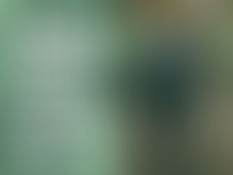 Go With Your Gut! Wellness 101: Nutrition, Ocular, and Mental Health!