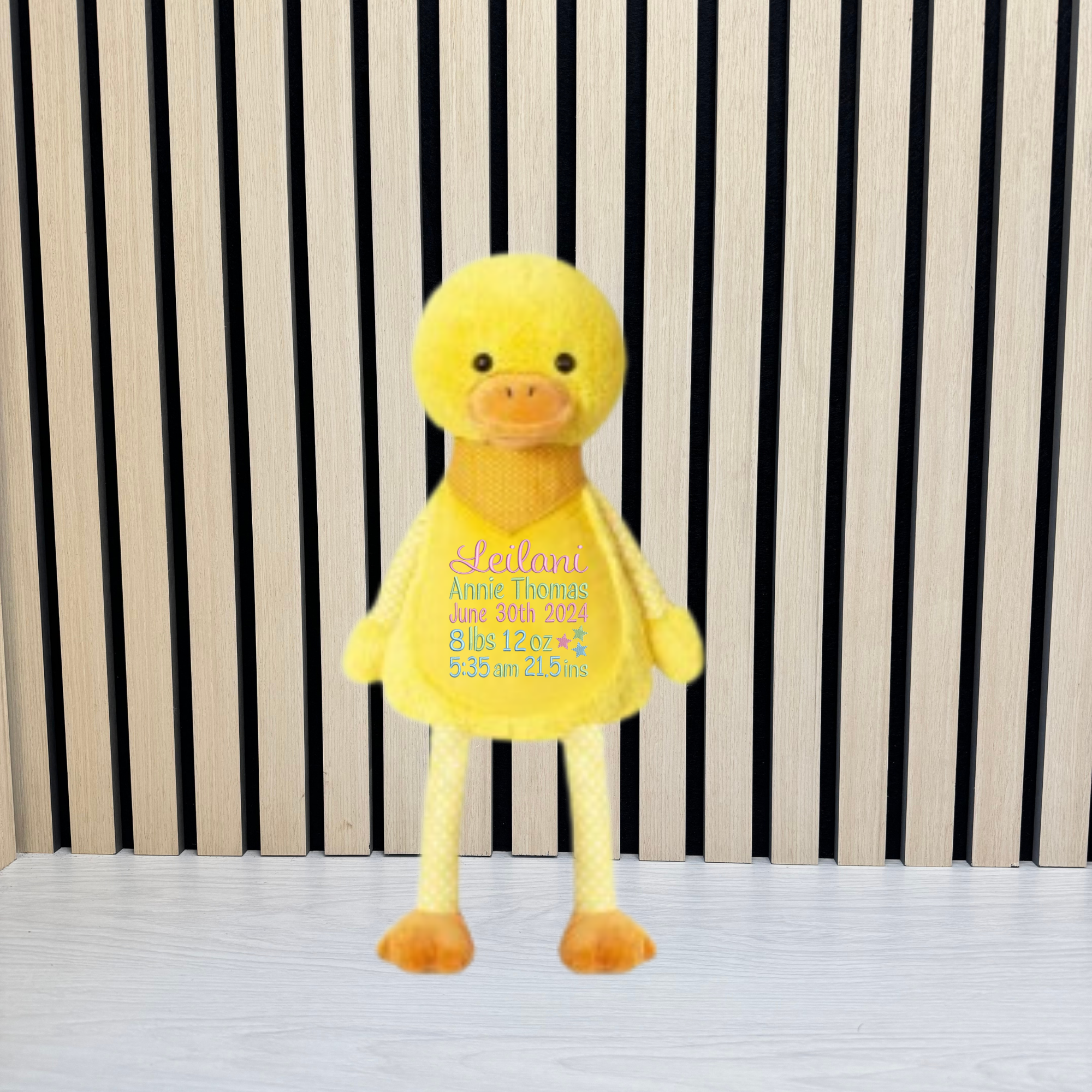 Embroidered Duck Teddy
