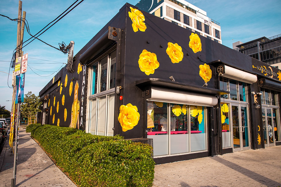 Shakira Pop-up Mob - Miami-32.jpg