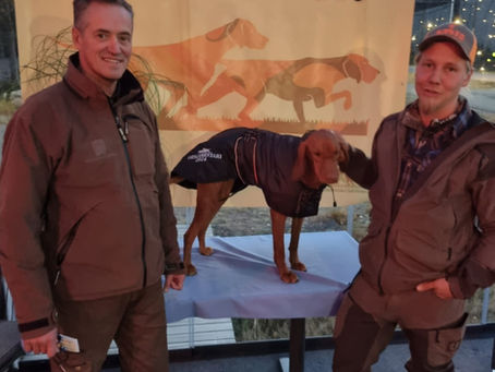 Metsämies ja vizsla