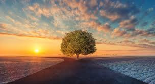 How Will My Trauma Change My Life Path?