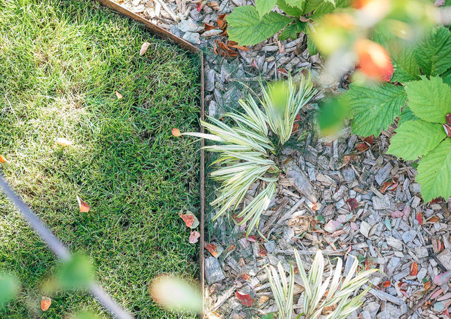 Paysagiste - Jardin - Paris - Sceaux - Sartrouville