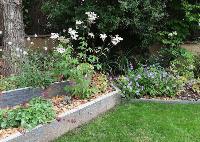 Paysagiste - Jardin - Paris - Sceaux - Sartrouville