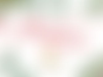 November 2024 Market Review