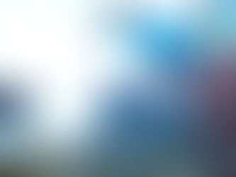 シュシュが落とした花びらの行方