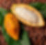 GrandSur-Our-Products-ASSS.jpg