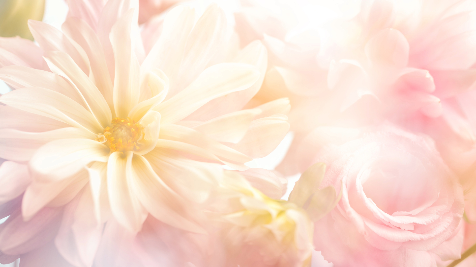 life-meaning-and-inner-values