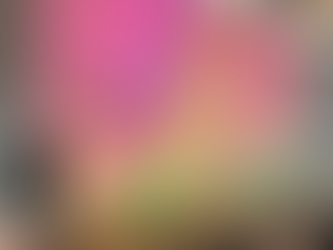 Drake Shake or Drake Lake, that is the question!