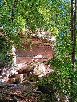 Colorado de BITCHE (10)