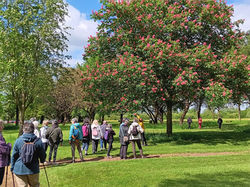 marche cool du 12 mai 2026 sur les hauteurs d'Imling (4)