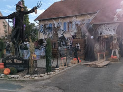 Sortie pédestre à BERG 29.09 (3)