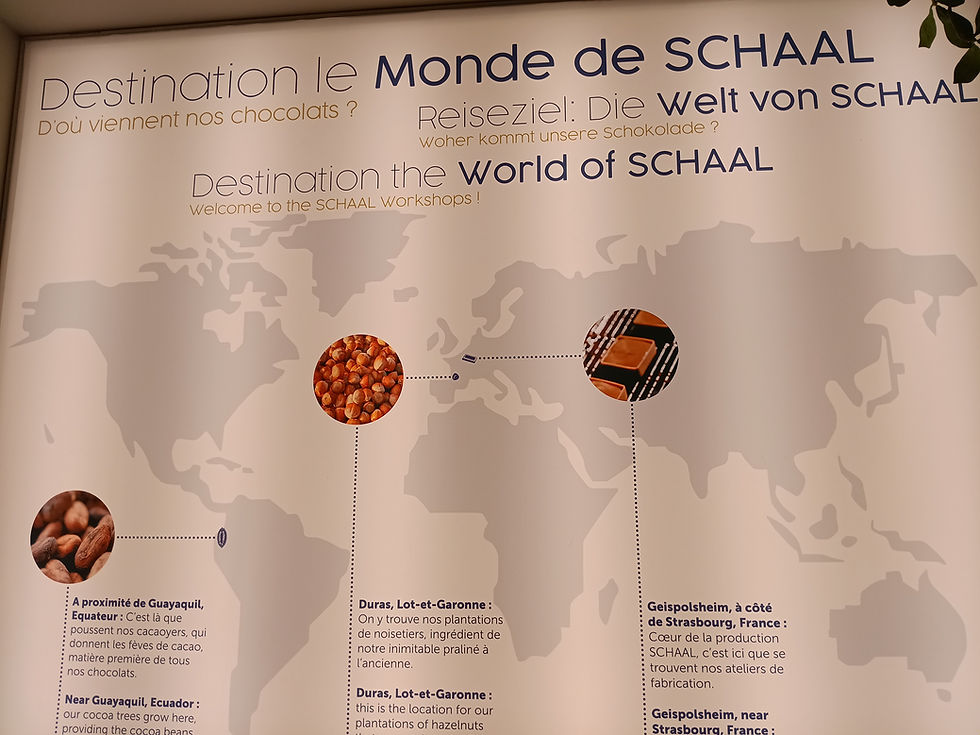 visite du musée du chocolat et dégustation (5)