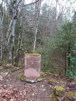 rando du 10 avril 2026 château du Lichtenberg pays de Hanau.jpg (2)