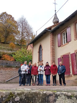 marche cool du 28.10.2025 Grand-Soldat Abreschviller (2)