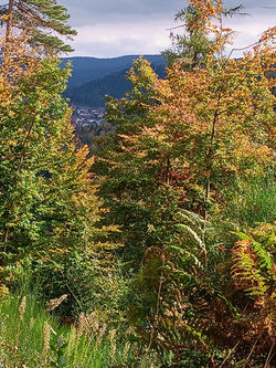 marche cool du 14.10.2025 Rethal - Chapelle St Vincent (2)