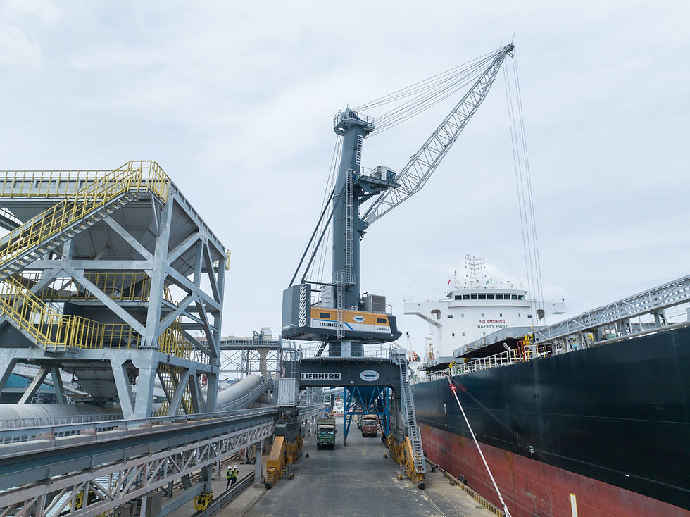Electric Liebherr portal crane operating at Baria Serece port handling cargo