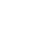 Brainov Technologies