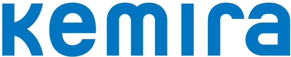 Executive Search Consultants