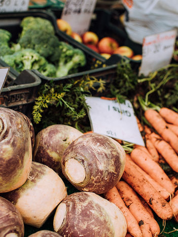 Understanding Nutrition