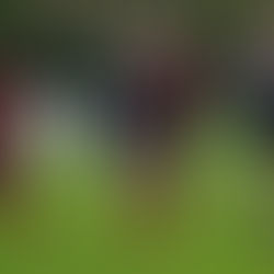 Ilkley Dominant In Victory Despite Middlesbrough's Resilience