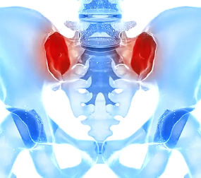 sacroiliac_edited.jpg
