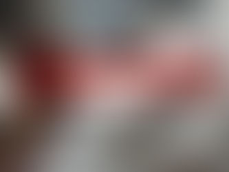 Motivation for Paralytic Warriors