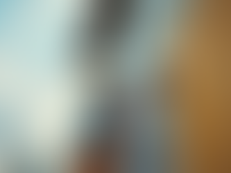 Benefits of Exterior Services: Advantages of Professional Exterior Painting Services