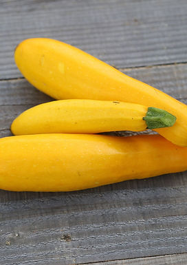 Courgette Jaune