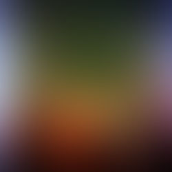 You Don’t Have to Do It All Yourself: A Love Letter to the Overextended Visionary