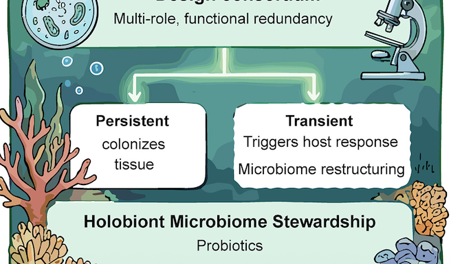 A New Framework for Coral Resilience: Evolution-Guided Probiotics