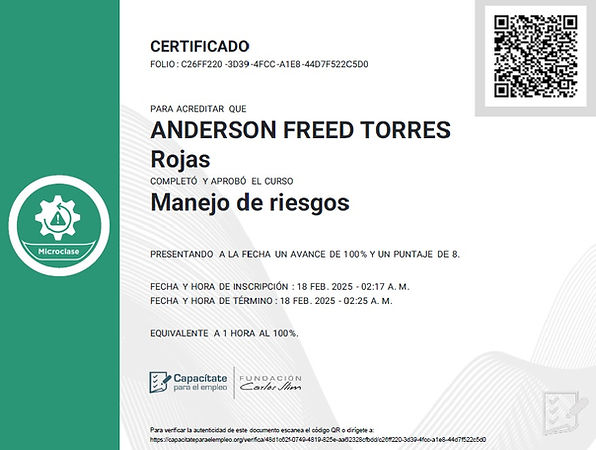 manejo de riesgos