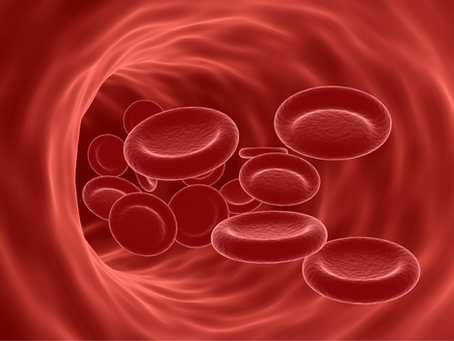 What Causes Iron Deficiency: The Underlying Factors You Need To Know