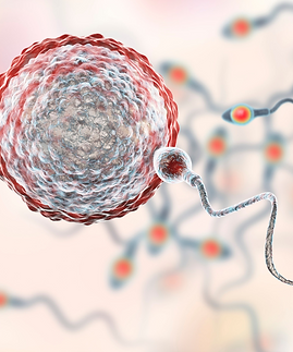 Male sperm infertility.png