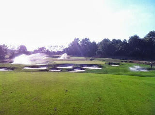 14 green being watered.jpg