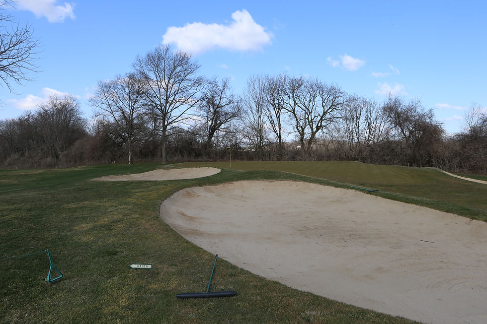 12 GREEN (2).jpg