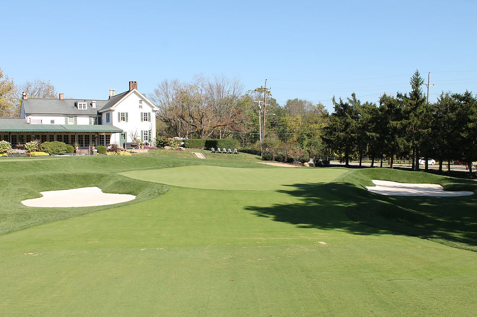 18 GREEN AFTER.JPG
