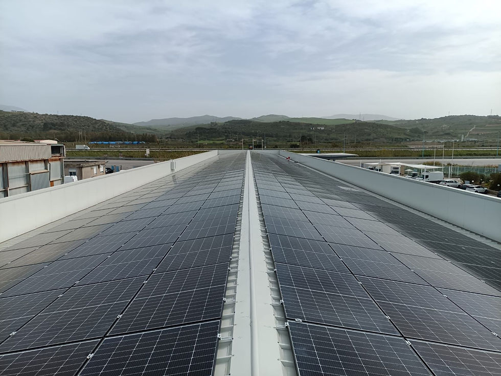 WhatsApp Image 2025-12-24 at 18.30.20.jpeg