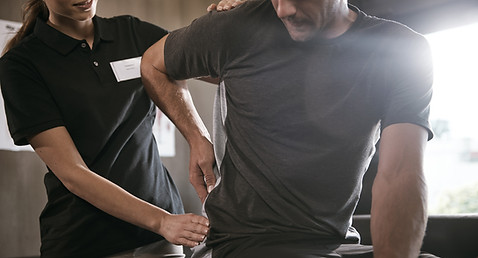 Physical Therapist