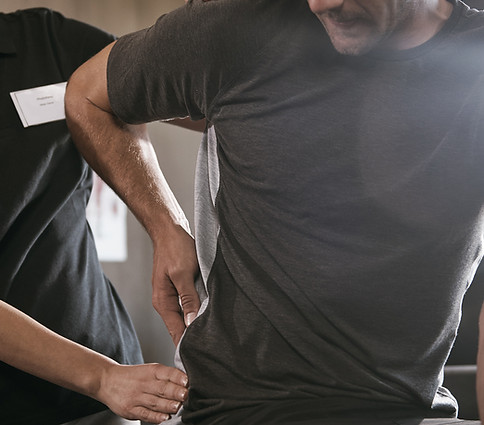Physical Therapist