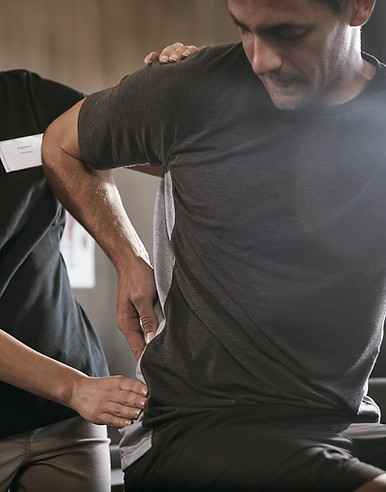 Physical Therapist