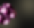 Group 1000001434 (1).png