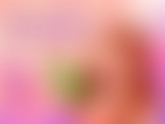 ¿Por qué elegir productos veganos para el cabello? Beneficios y rutina completa