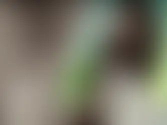 Dile Adiós a los Sulfatos: ¿Por qué tu Shampoo Necesita ser Sulfate-Free y Cómo Hacer el Cambio?